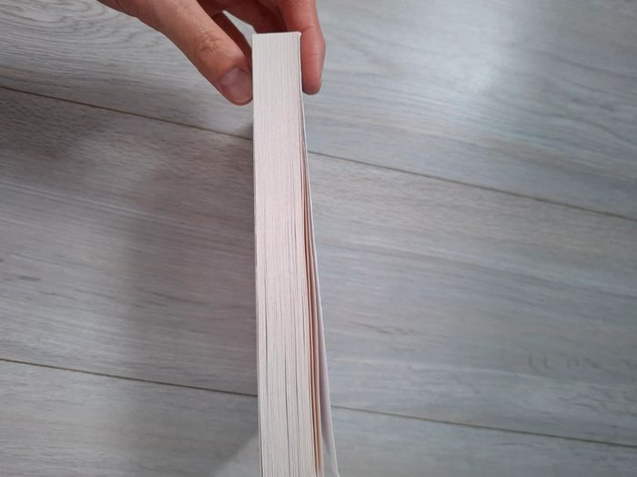 Livre de Carène Ponte, recherche Lily désespérément - photo numéro 4