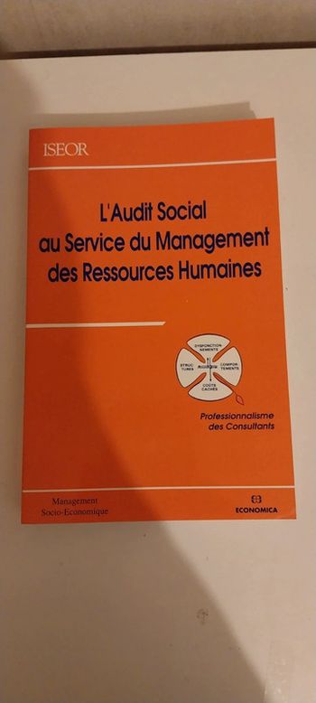 L'audit Social Au Service Du Management Des Ressources Humaines