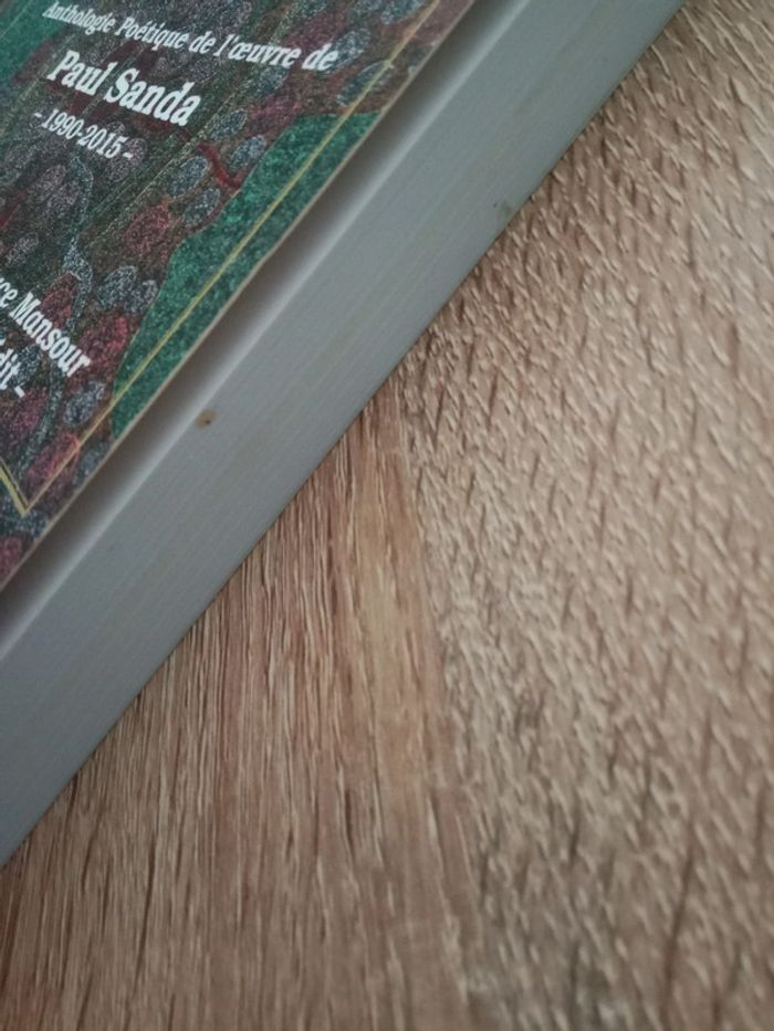 Célébration des Nuées Paul Sanda 1990-2015 🪅 - photo numéro 5