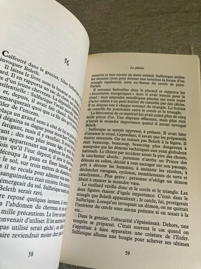 La Guerre des fées – Herbie Brennan – Édition Pocket Jeunesse - photo numéro 5