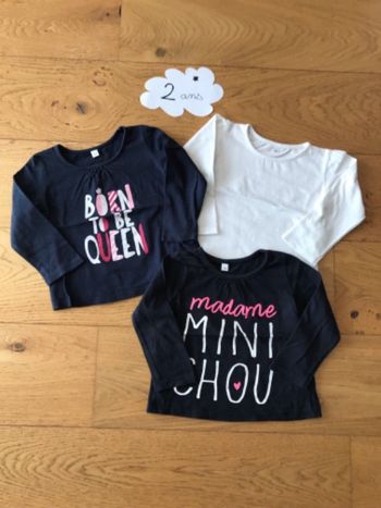 Lot 3 tee shirt tex 23 mois