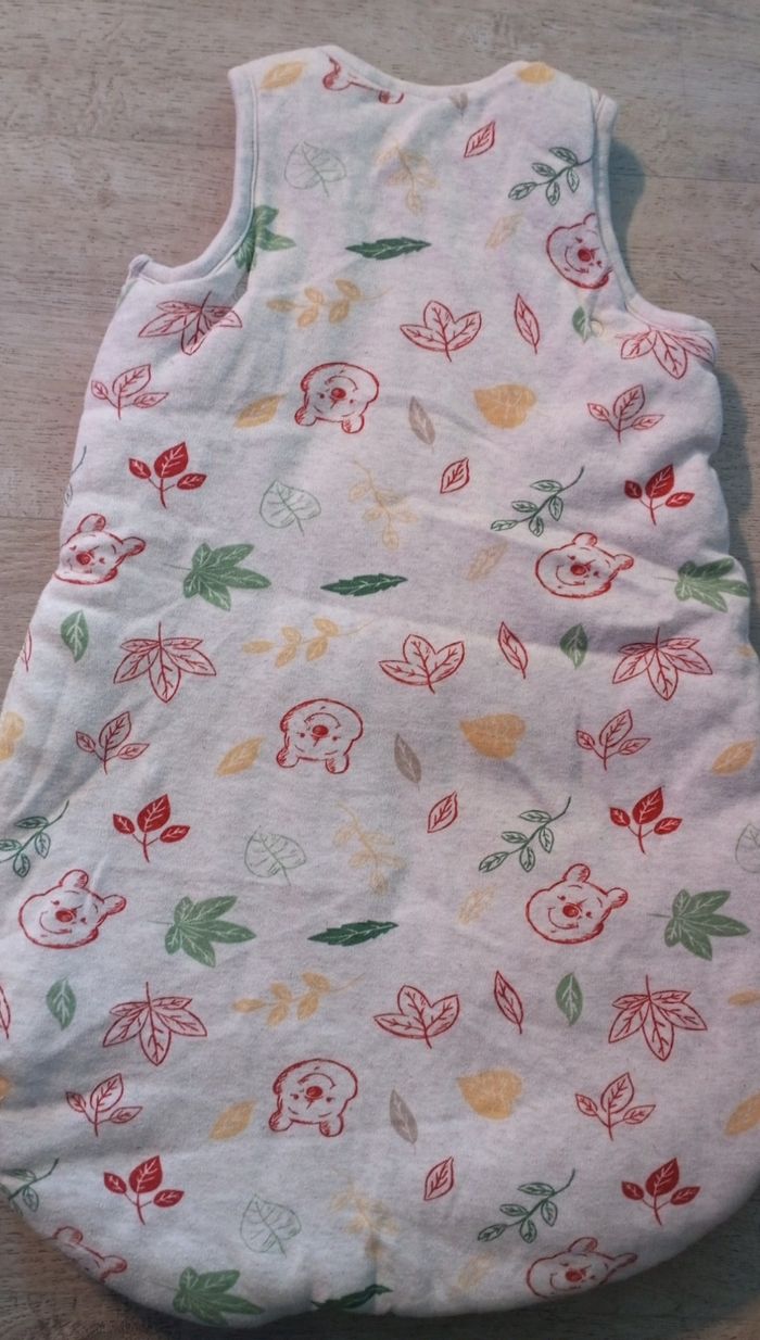 Gigoteuse - photo numéro 2