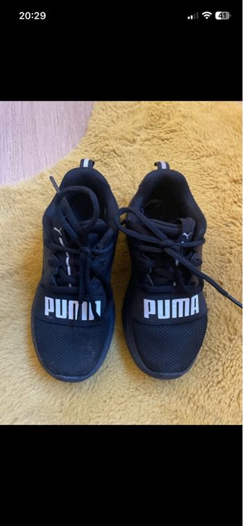 Basket puma