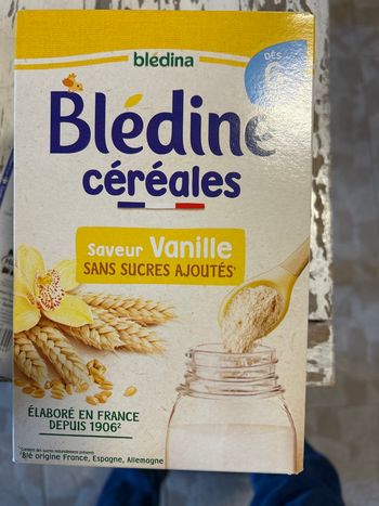 Blé Dina céréales 