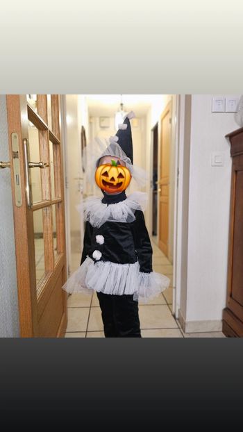 Deguisement arlequin zara 2025