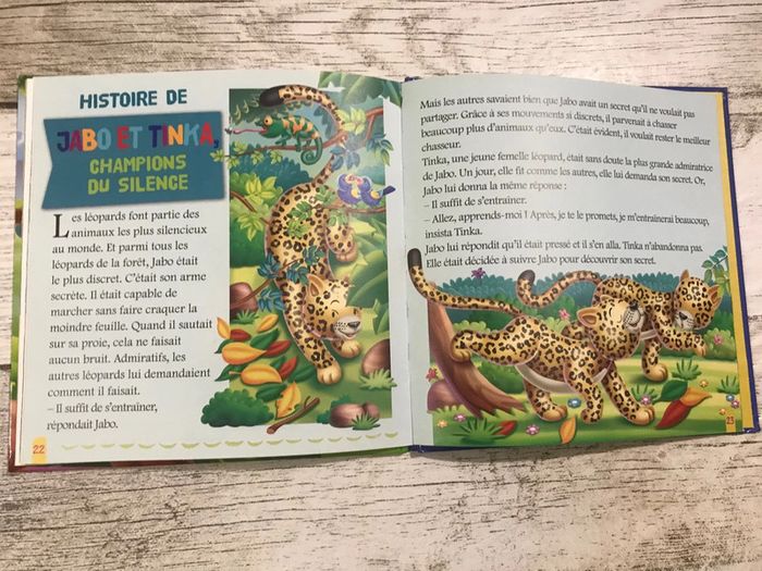 Lara le leopard - photo numéro 3