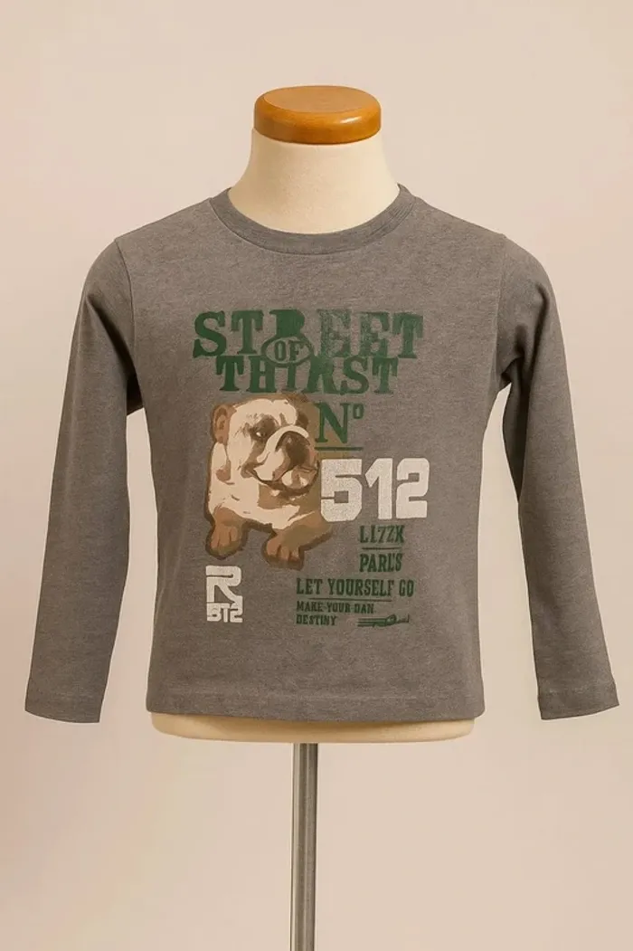 Tee shirt manche longue gris motif multicolore RG 512 Taille 6 ans - photo numéro 2