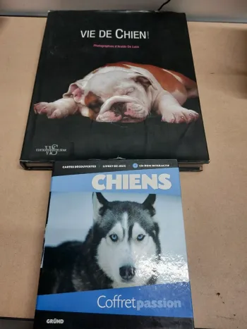 Coffret et livre sur les chiens
