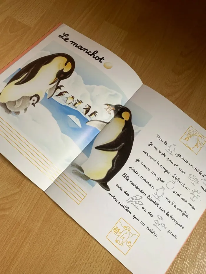 Livre éducatif niveau CP - photo numéro 3