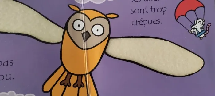 Où est mon hibou ? - photo numéro 4