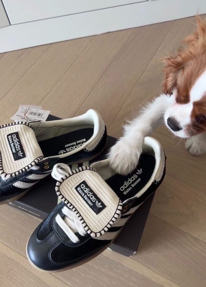 adidas originals Samba x WALES BONNER noir 41 - photo numéro 5