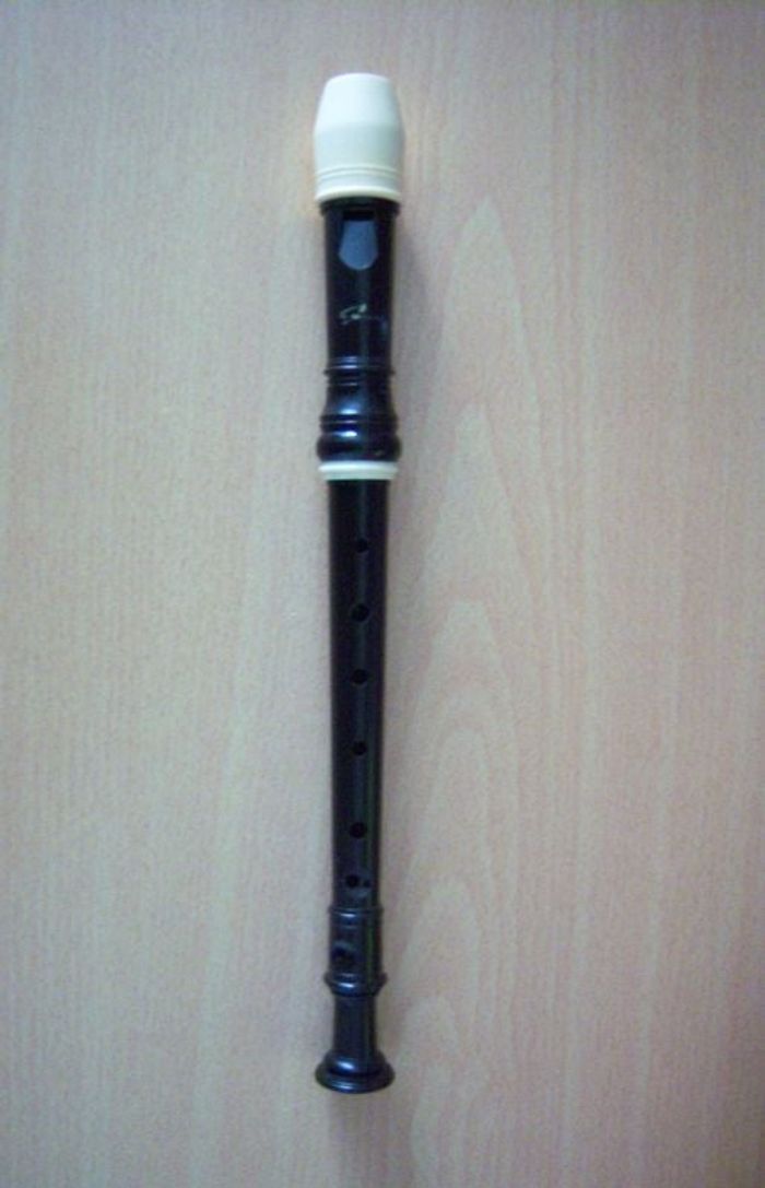 Flûte à bec