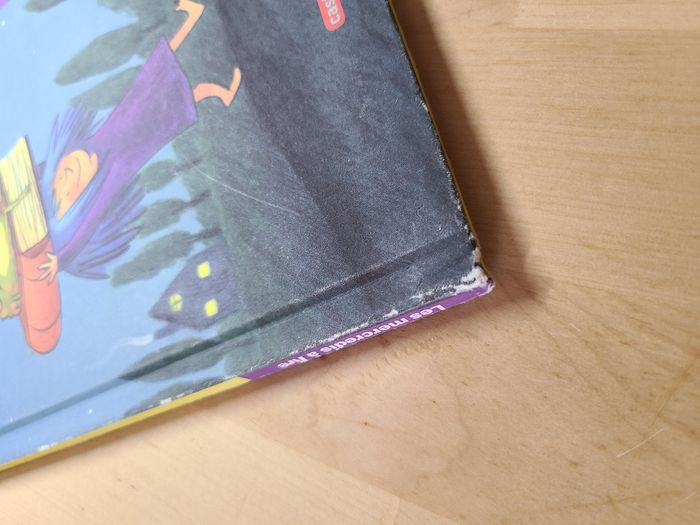 Carabinette, la petite sorcière qui n'en fait qu'à sa tête ! - photo numéro 2