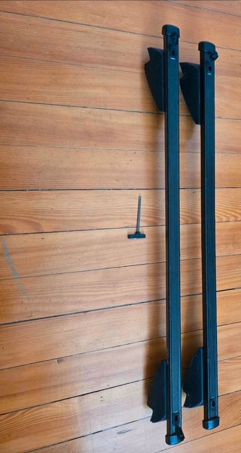 Barre de toit c4 cactus 