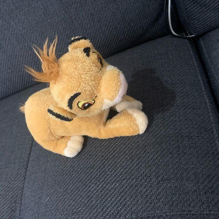Roi lion