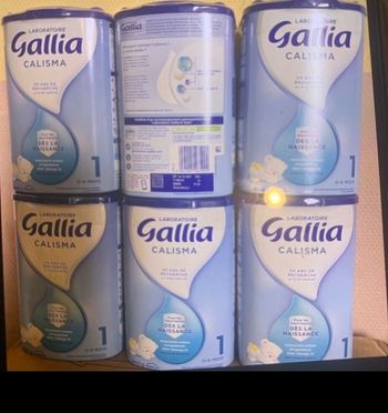 galia calisma