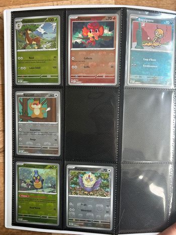 Lot masterball Foudre Noire et Flamme Blanche