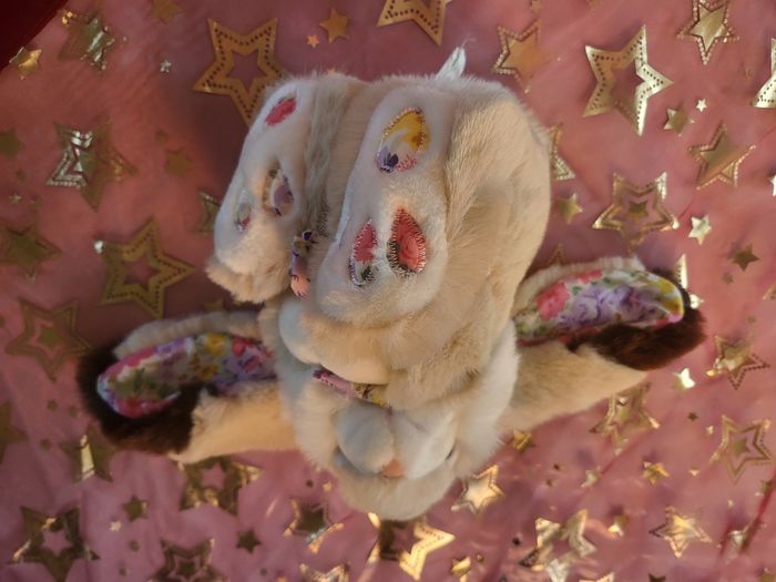Peluche lapin 🐰 - photo numéro 5