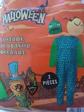 Déguisement 2-4ans 
