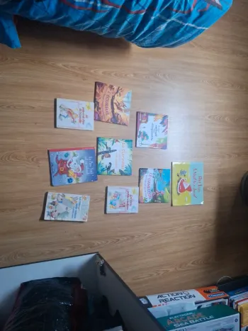 Lot petits livres enfants