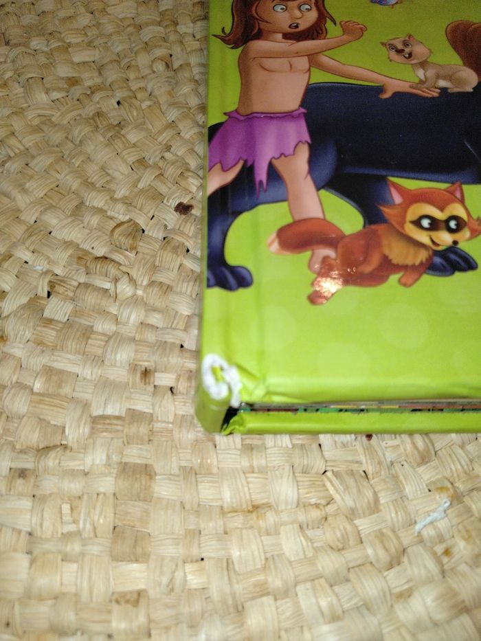 Contes - photo numéro 6