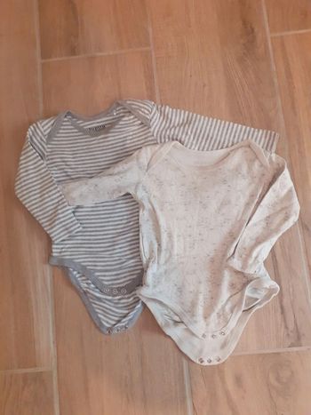 2 Bodies - Lupilu - 6 mois