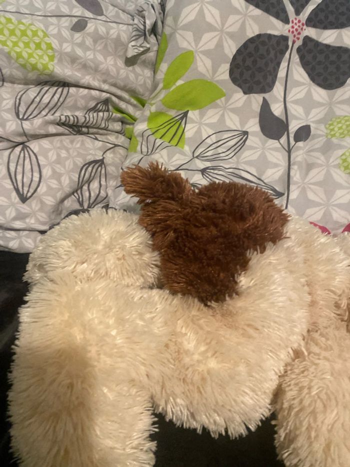 Chien en peluche, marron et beige/café au lait - photo numéro 5