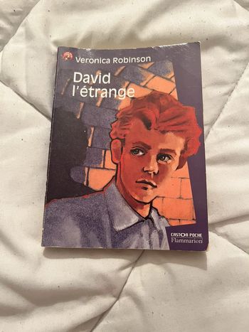 Libre David l’étrange