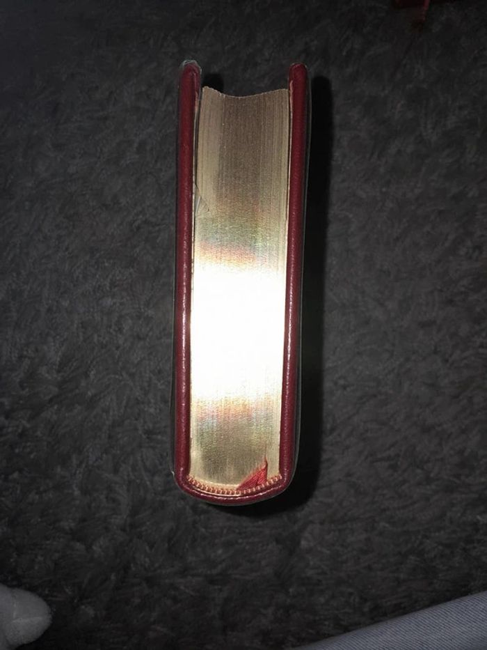 Madame Bovary - Flaubert - photo numéro 9