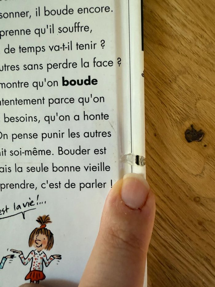 Livre Max et Lili numéro 101 Max boude - photo numéro 4
