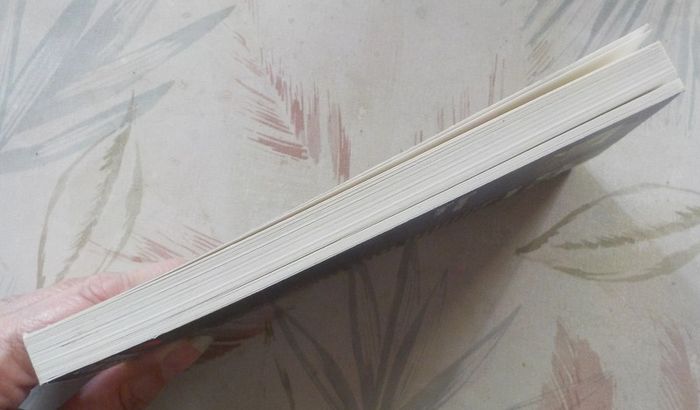 Le mystère de l'ambre jaune de Christian Denis Ed. Liv'Poche n°014 - photo numéro 4