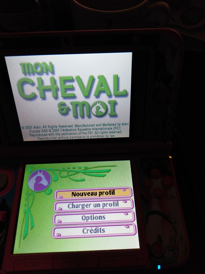 Jeu ds mon cheval et moi - photo numéro 2