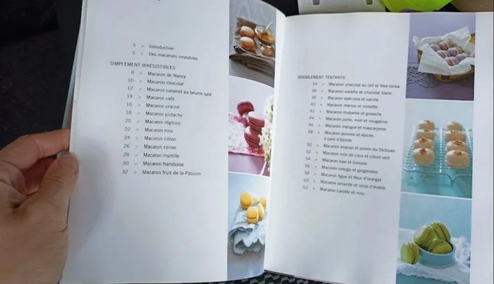 livre de recettes Macarons Recettes bien expliquées succès assuré Albums Larousse Bon état - photo numéro 2