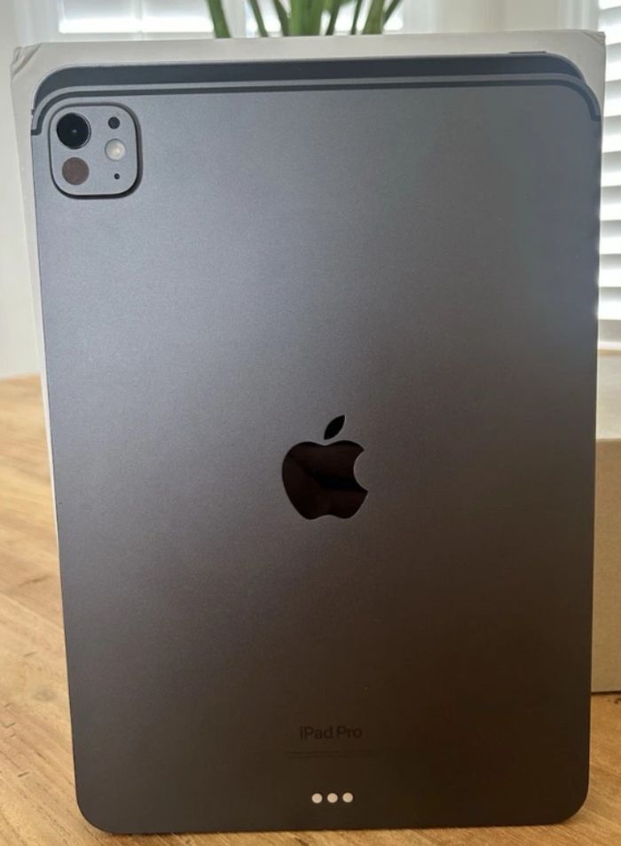 iPad Pro 11 pouces (M4) A2836 256 Go, Wi-Fi, 11 pouces - Noir sidéral en parfait état