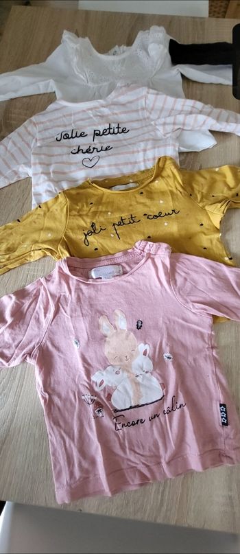 Lot 5 tshirts 18mois