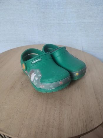 Crocs vert