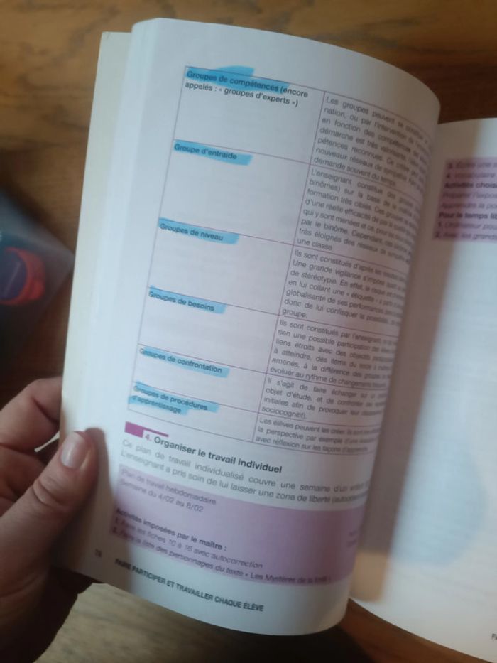 Lot 2 livres préparation concours professeurs des écoles - photo numéro 3