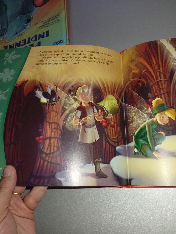 Livre Clochette et la Pierre de Lune - photo numéro 5