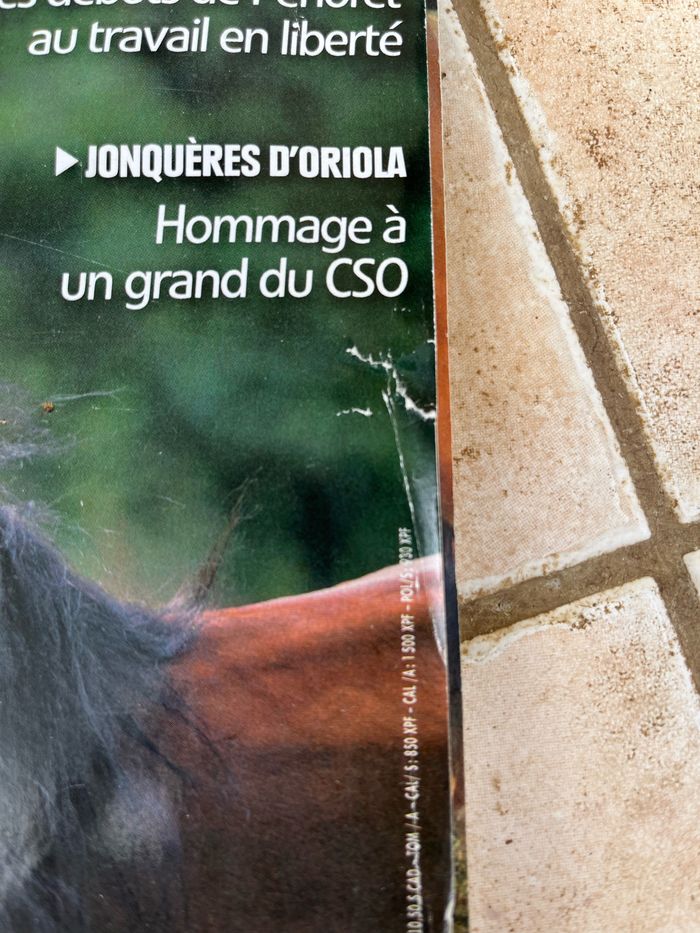Livre, cheval pratique - photo numéro 2