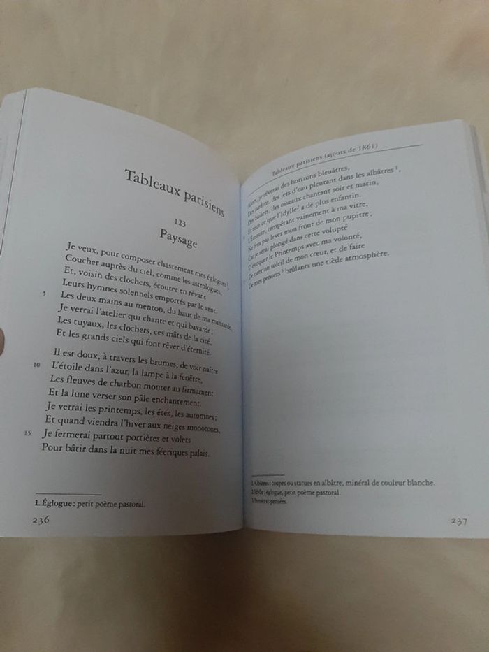 Les fleurs du mal - photo numéro 2