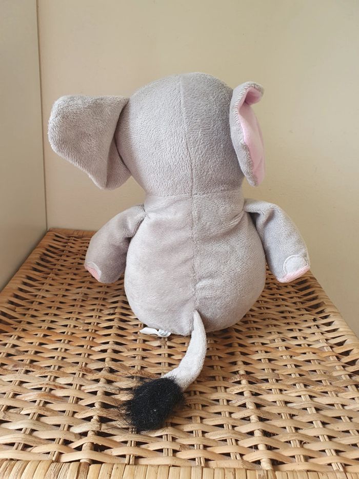 Éléphant - photo numéro 2