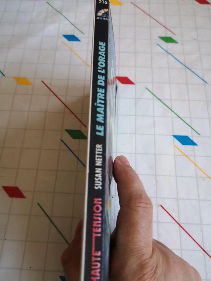 Le maître de l'orage - photo numéro 3