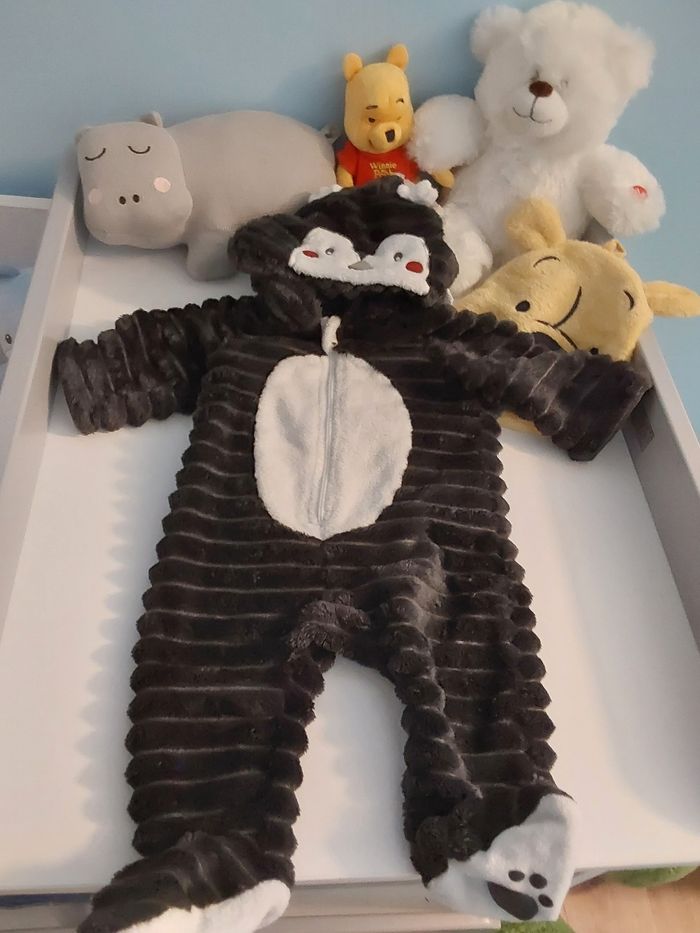 Combinaison pingouin