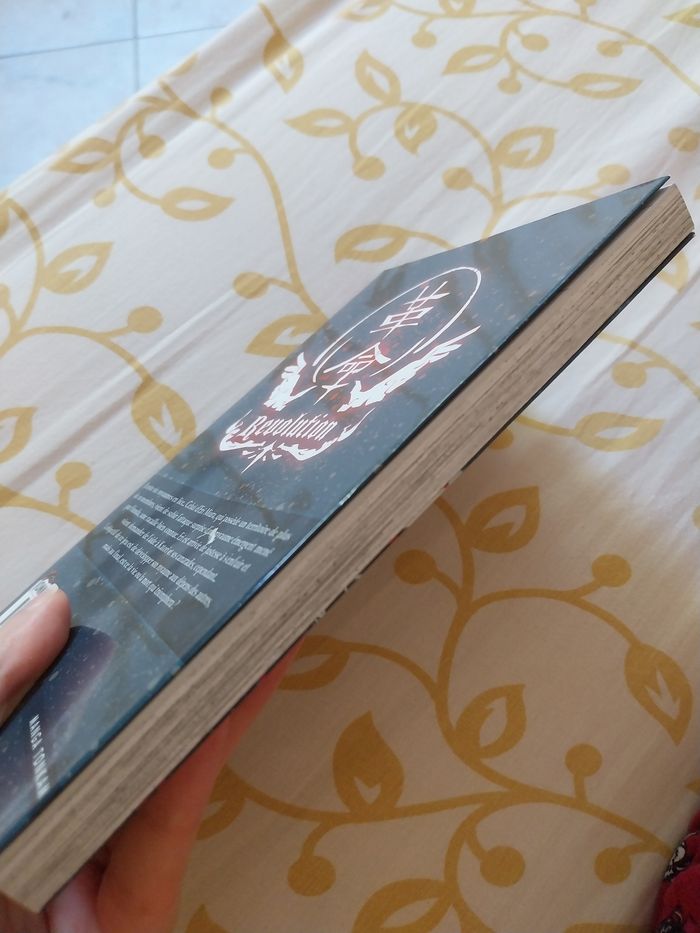 Manga Kingdom Game tome 3 - Haruyuki Sorase - Tonkam manga - photo numéro 4