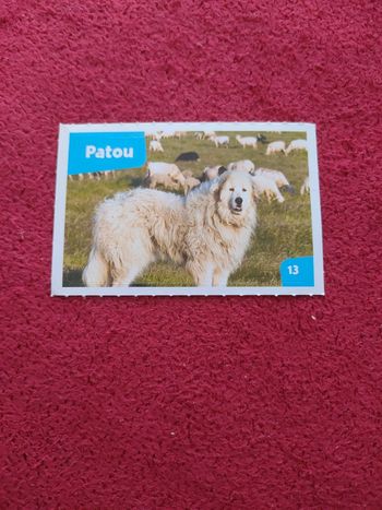 Carte nos amies les bêtes