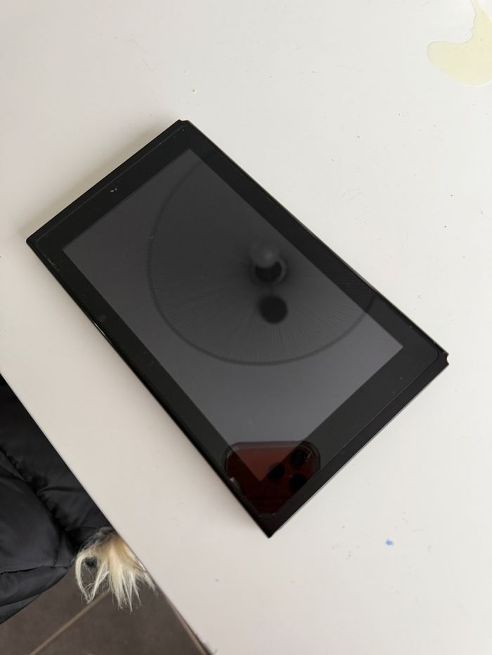 Switch - photo numéro 2