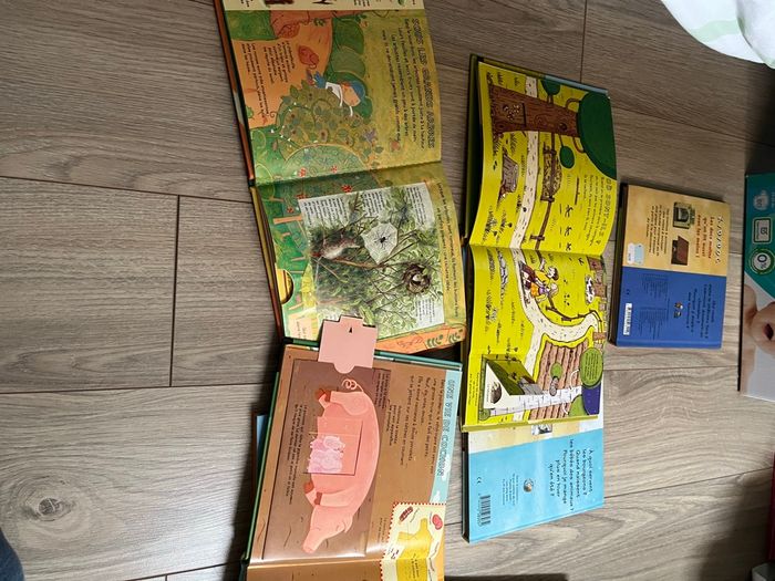 Livres documentaires kididoc forêt, château fort, au fil des saison, Égypte - photo numéro 3