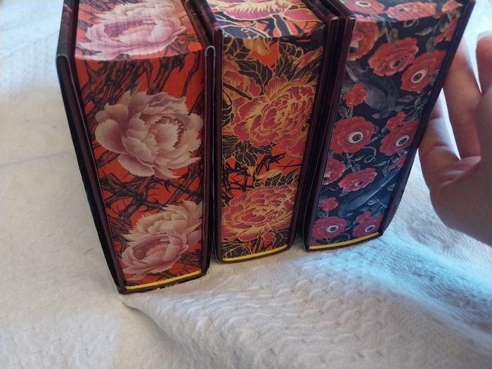 Romans Le Royaume des Corbeaux tomes 1 à 3 Reliés Collectors Olivia Wilderstein Korrigan - photo numéro 4