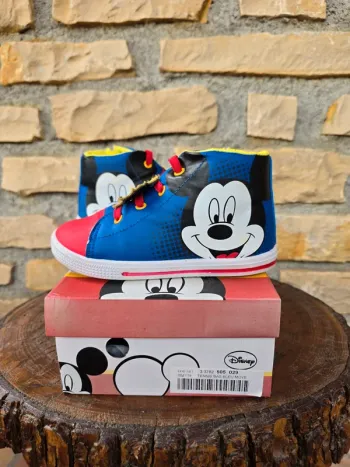 Basket Mickey