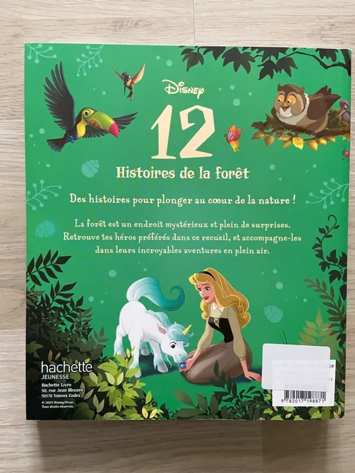 12 Histoires de la forêt - Disney - photo numéro 4